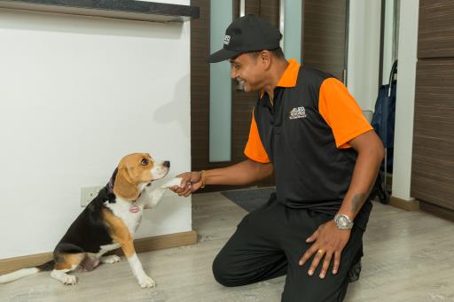 Pet-Friendly Apartments in Singapore Pet-Friendly Apartments in Singapore